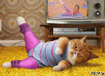 Exercise Cat