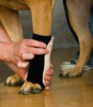 Carpal Wrap