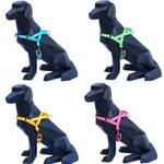 Harnesses