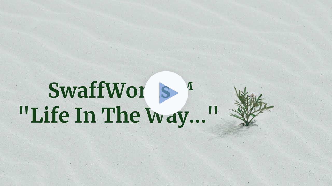Life in the Way...