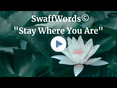 Stay Where You Are