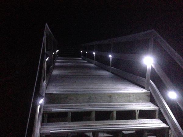 My Night Bridge to the Ocean