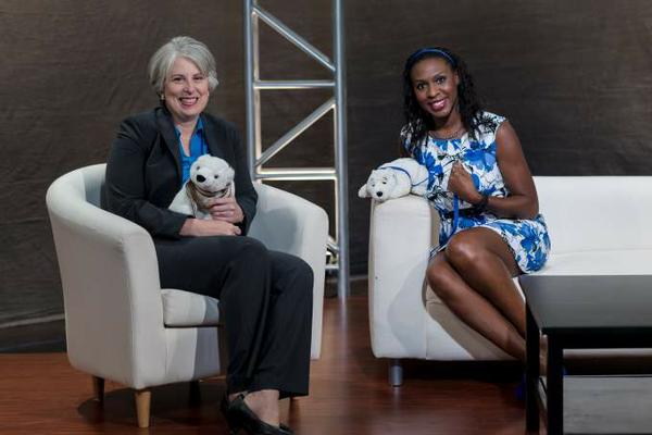 Ruth King, Tanya and Our Bears in Harness