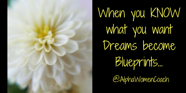 When you KNOW what you want Dreams become Blueprints