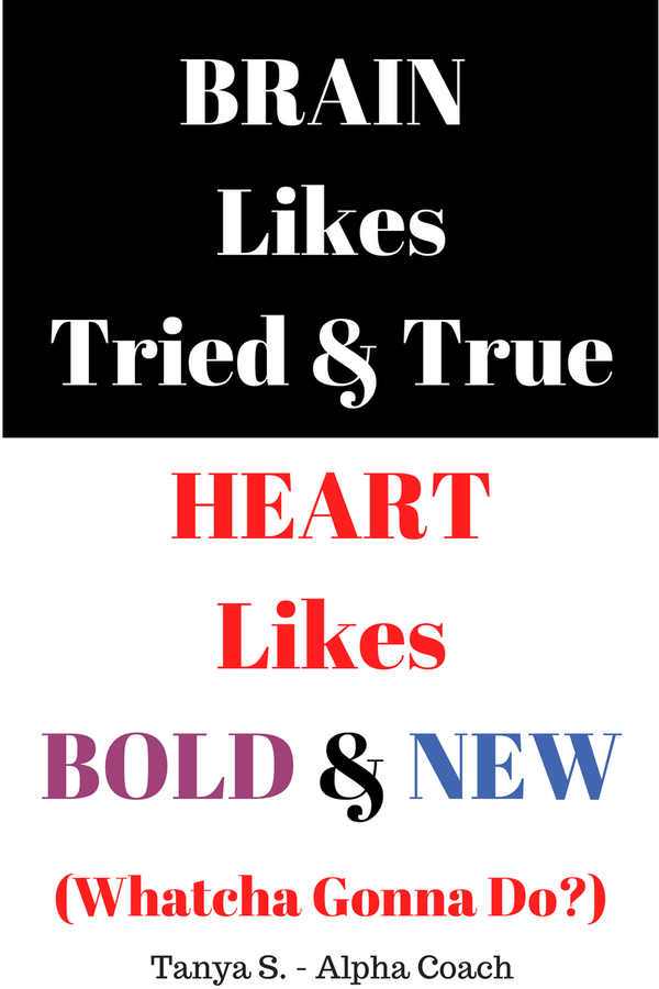 Brain Likes Tried & True; Hear Likes Bold & New