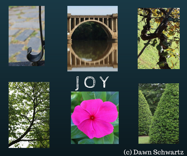 Beautiful Images of the letters of J O Y