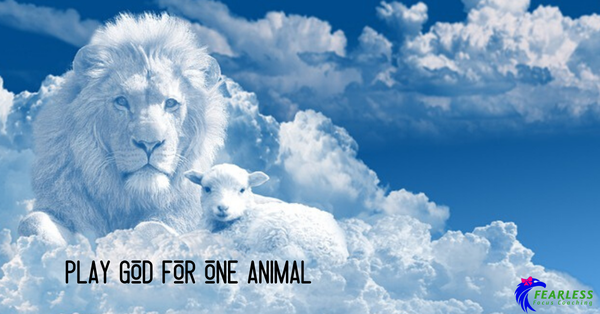 Play God for ONE Animal