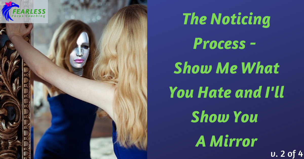 The Noticing Process - Show Me What You Hate