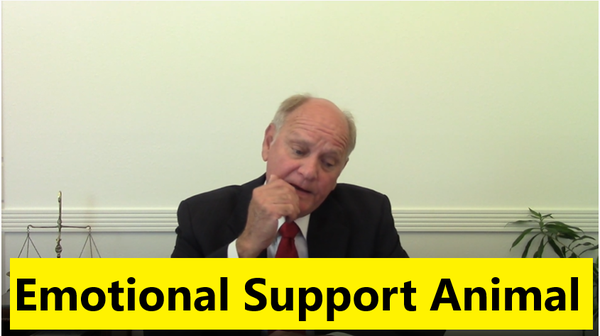 Emotional Support Animals