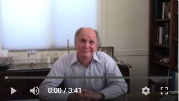 Does a Trust Pay Taxes?