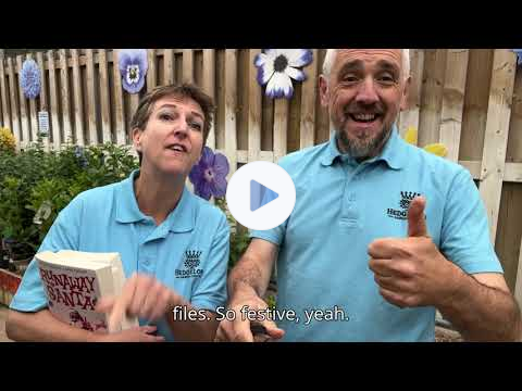 Video Newsletter - NEW BOOK! Runaway Santa out now!