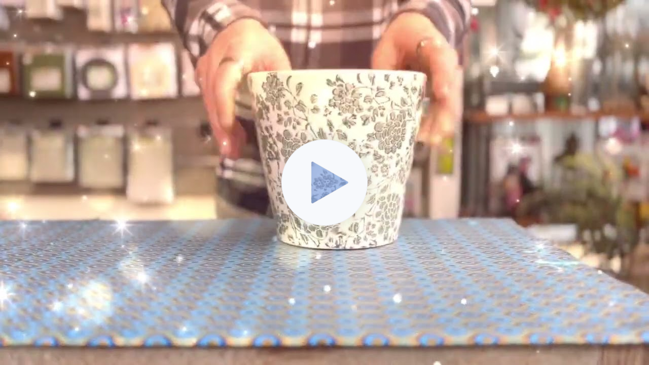 Pretty Plant Pots ✨