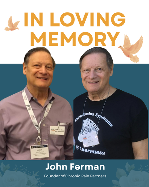 Giving Tuesday Logo: A heart consisting of several red lines