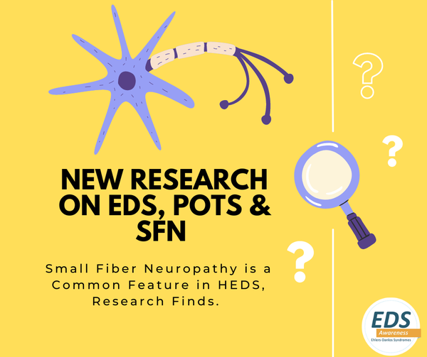 An illustration of a blue and purple nerve cell and a magnifying glass on yellow background. Text: New research on EDS, POTS & SFN. Small Fiber
Neuropathy is a Common Feature in HEDS, Research Finds. 