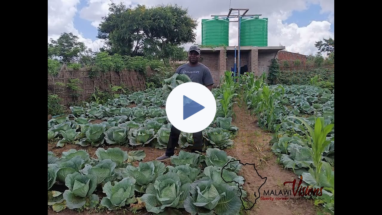 5th Malawi Visions Jazz Fundraiser - short version (87 seconds)