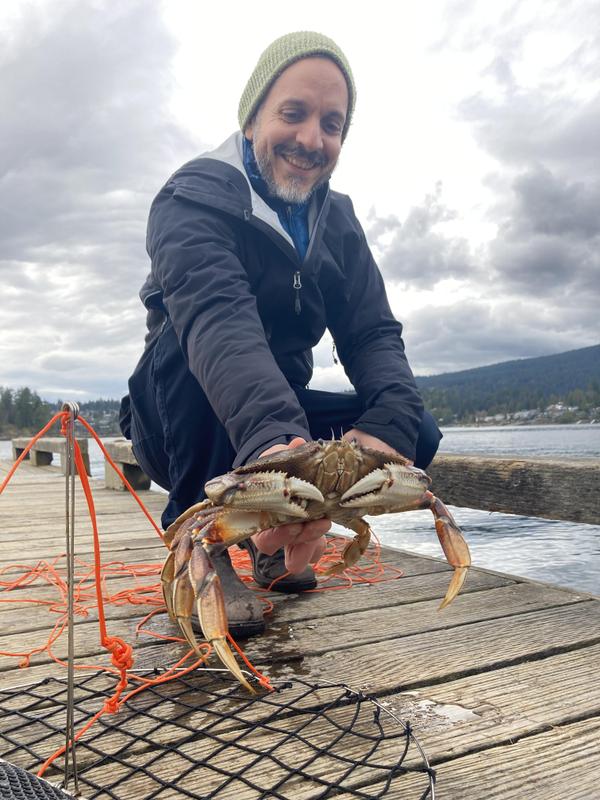 Sea foraging - Crab