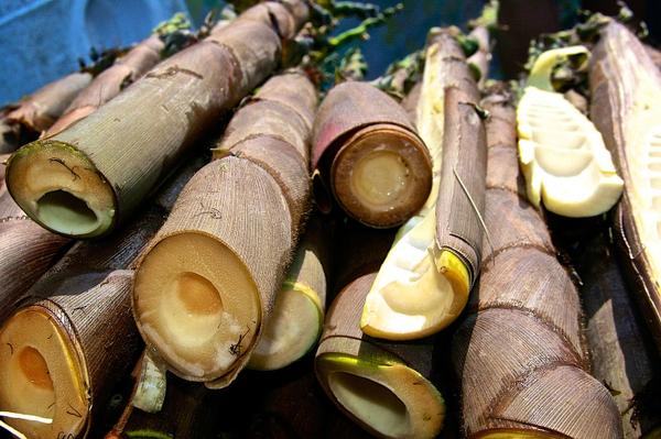 black bamboo harvested