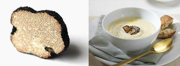 Alba truffles