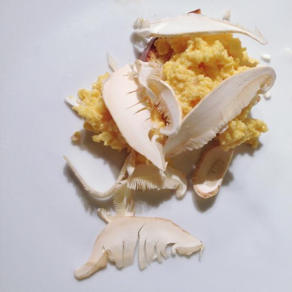 raw matsutake appetizer