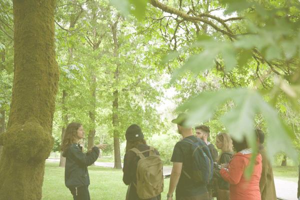 Foraging class