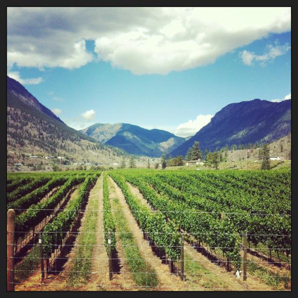 Wine tours
