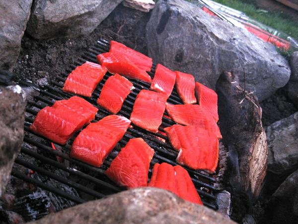 salmon bbq