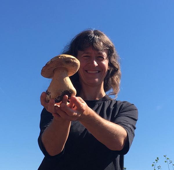 Porcini