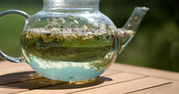 wild tea