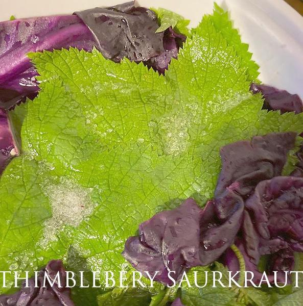 Thimbleberry leaf 