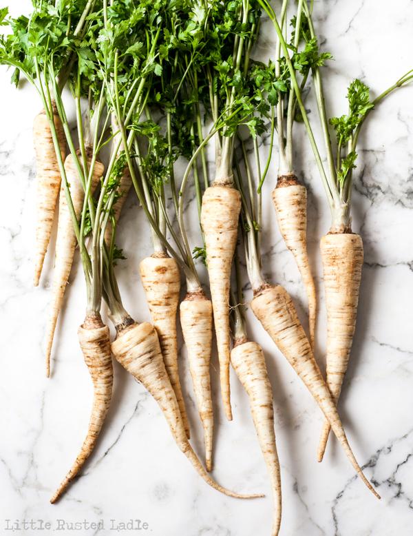 parsnip