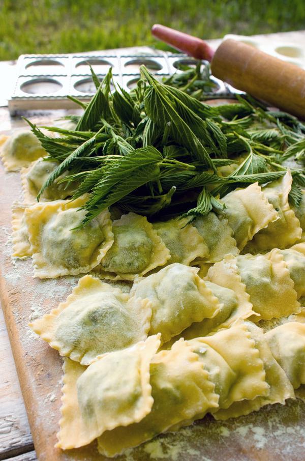 stinging nettle agnolotti
