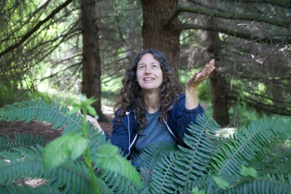 Sword Fern