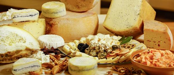 wine & cheese