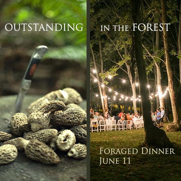 forest dinner