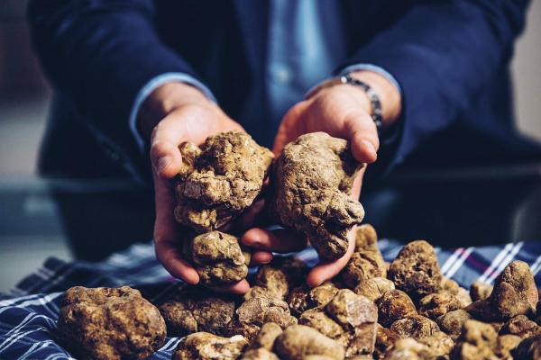 Alba truffles