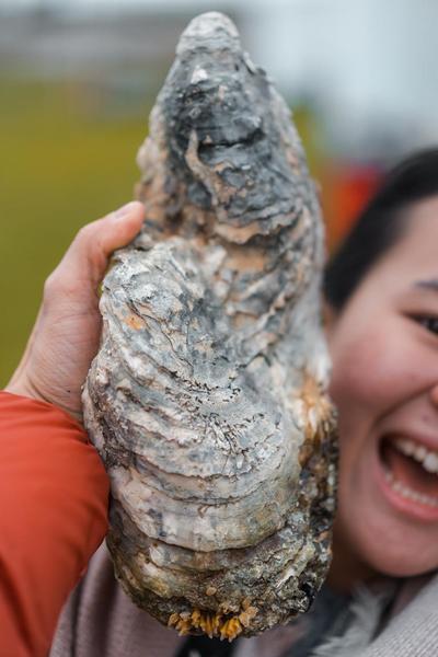 sea forage class