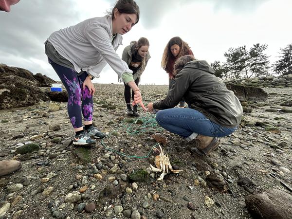 sea foraging class