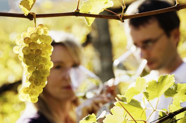 Wine Tour Vancouver