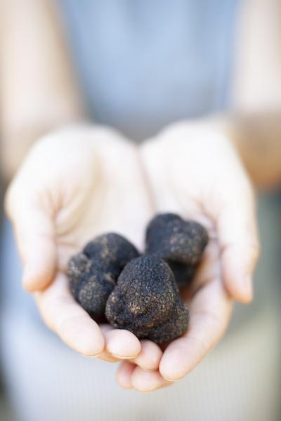 Black truffle