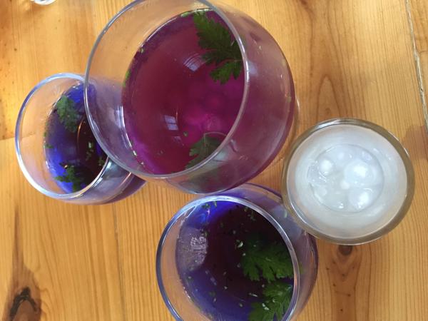 butterfly pea tea