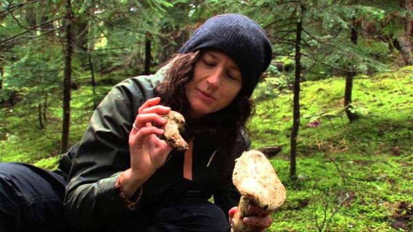 Chef Robin hunting for pine mushrooms