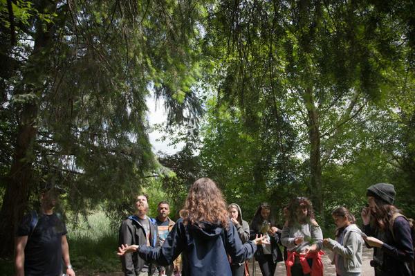 Belcarra sea foraging class