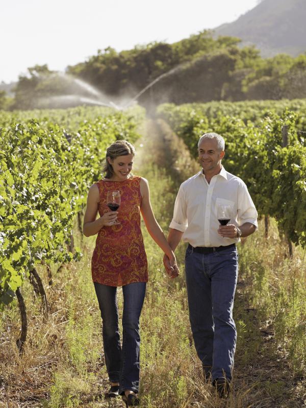 Wine tours