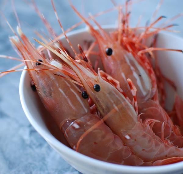spot prawn