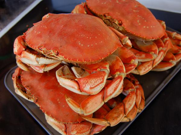 Dungeness Crab Feast