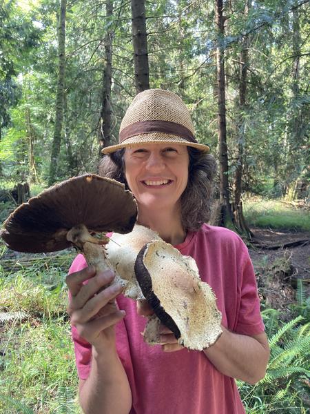 Fall mushrooms