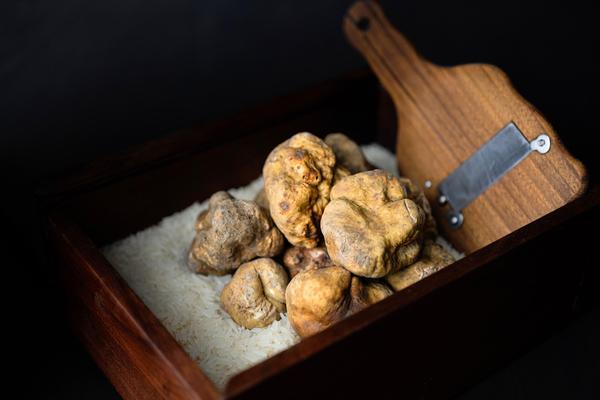lobster mushroom