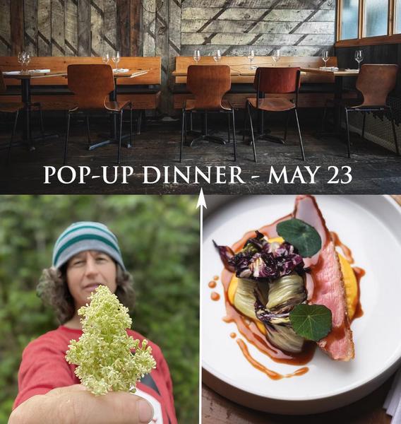 Burdock & co collab dinner