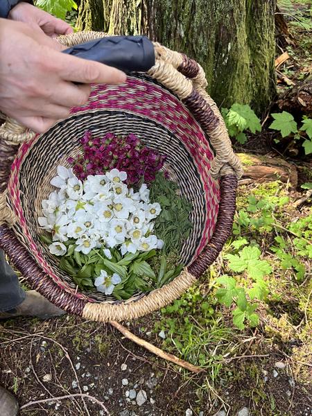 edible wildflowers