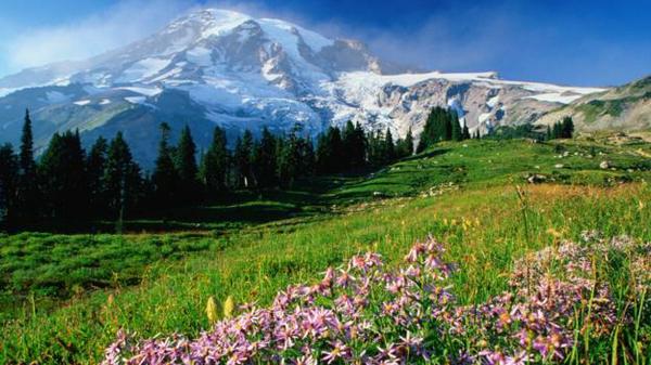 Pacific northwest